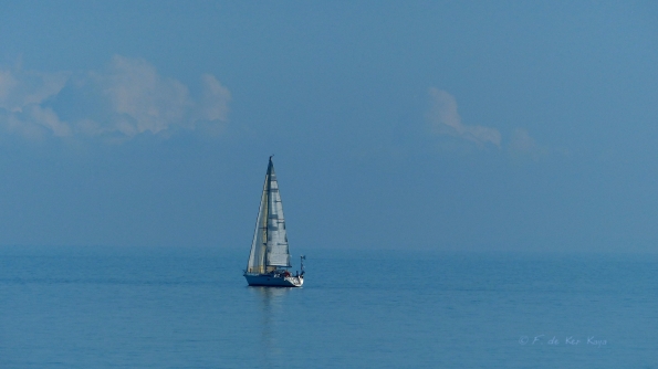 Blue sailing